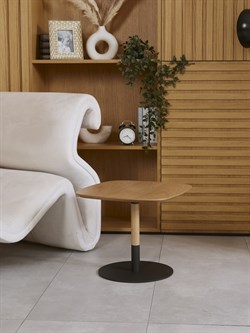 Кофейный / Журнальный стол 39 - фото 6064